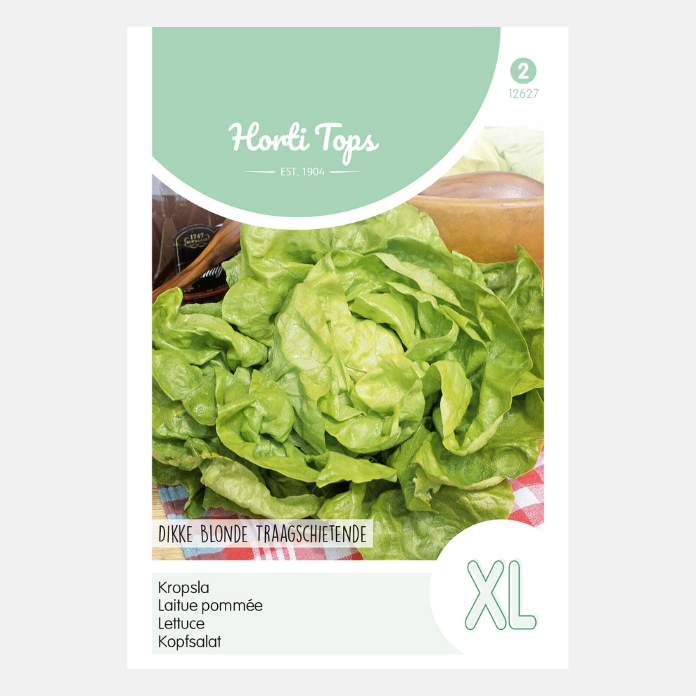 Lettuce 'Grosse Blonde'/'Dikke Blonde Traagsch'