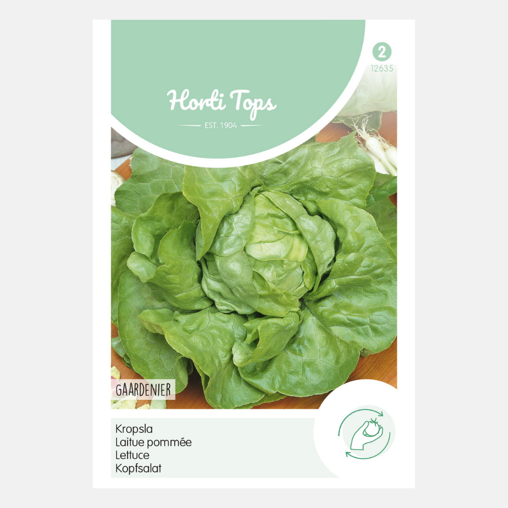 Laitue 'Gaardenier' - montaison très tardive