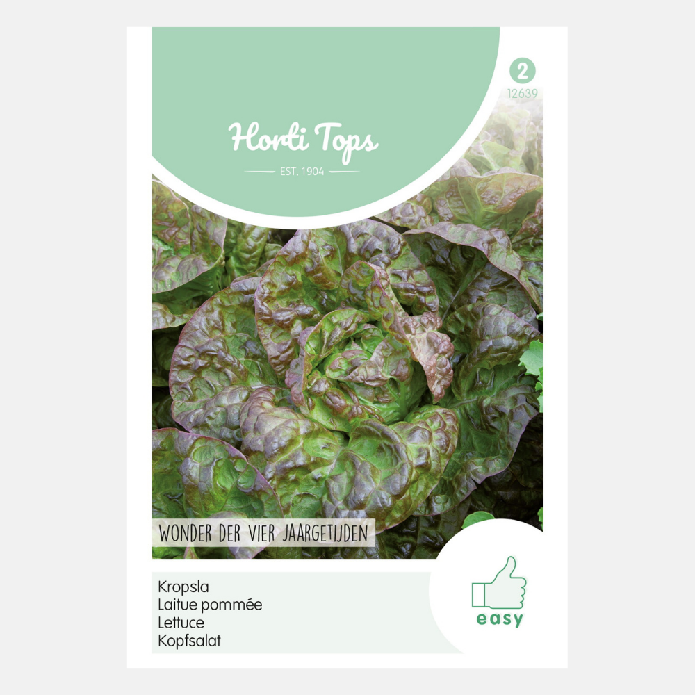 Lettuce 'Wonder of Four Seasons'