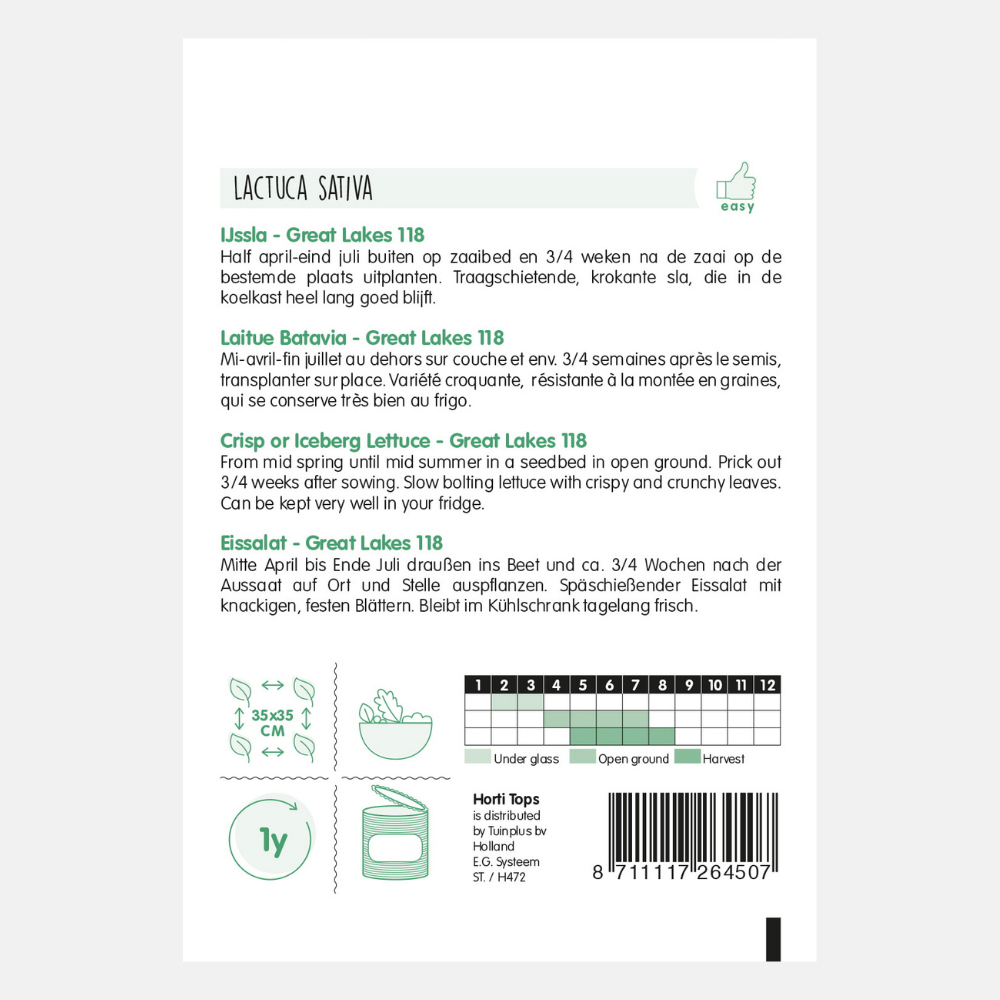 Iceberg lettuce 'Great Lakes 118'