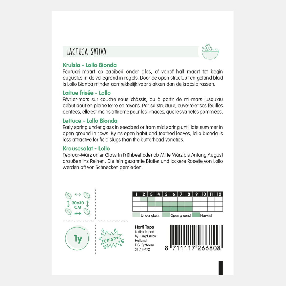 Curly Lettuce 'Lollo Bionda' - green