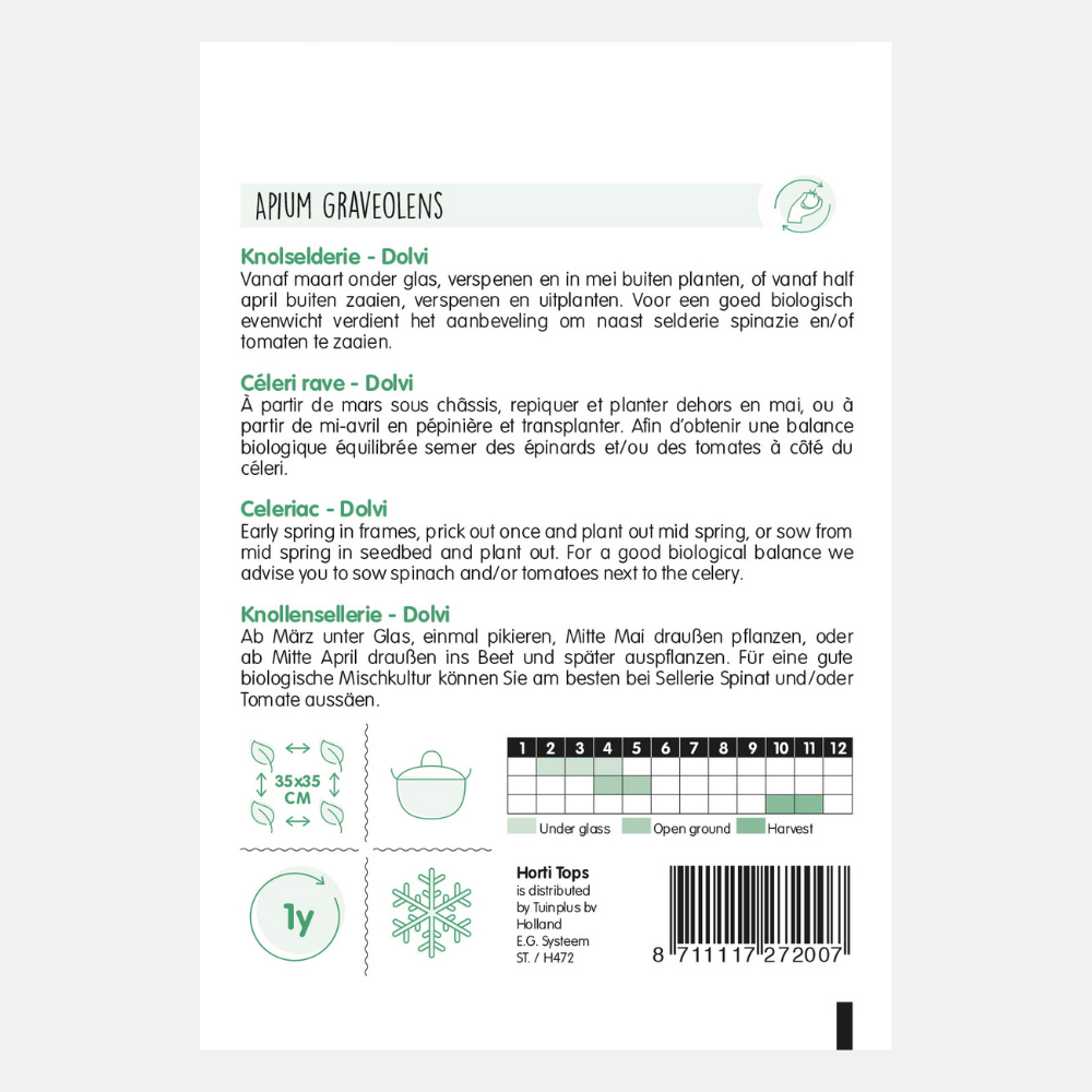 Celeriac 'Dolvi'/'Prager Reuzen'