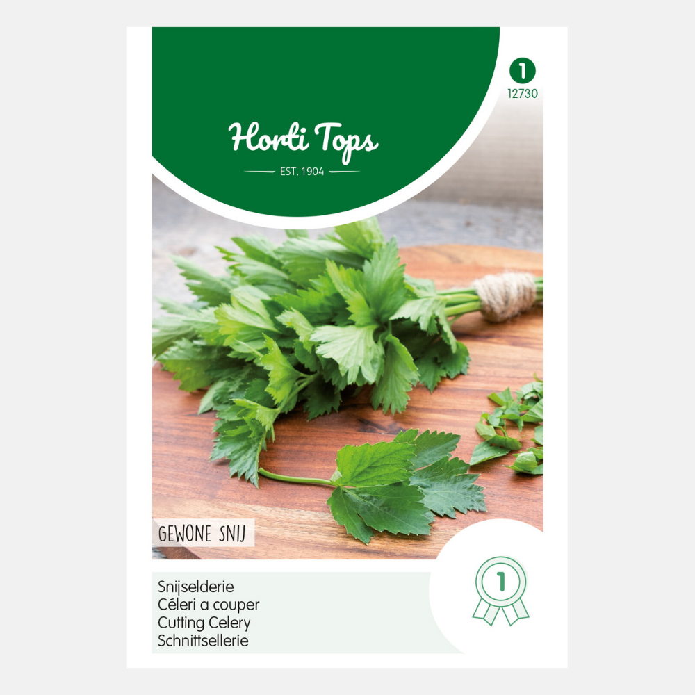 Céleri « coupe régulière »