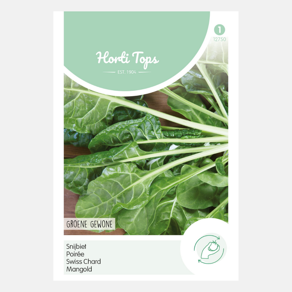 Bette à carde 'Green Common' - vert