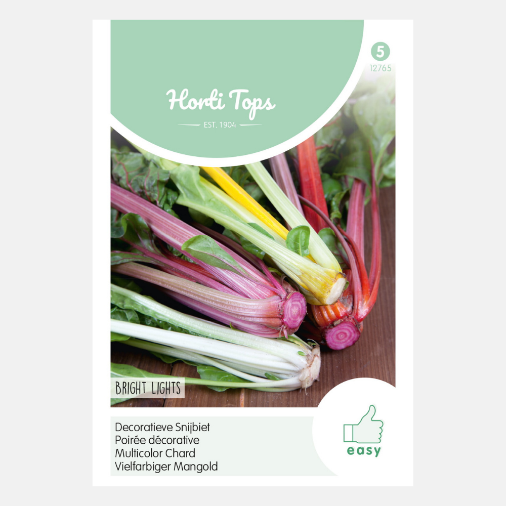 Swiss Chard 'Bright Lights' - rainbow colours