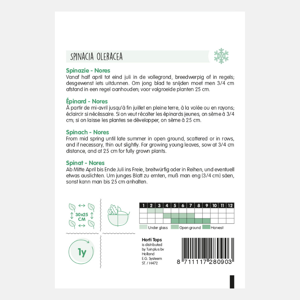Spinach 'Nores'