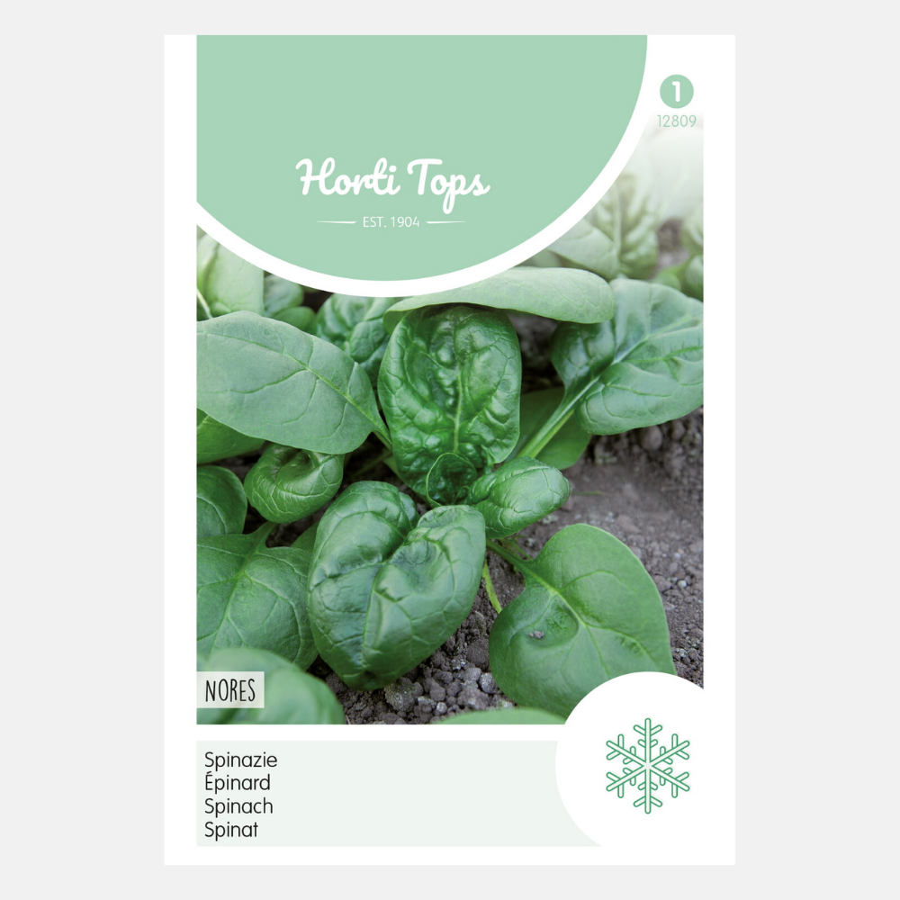 Spinach 'Nores'