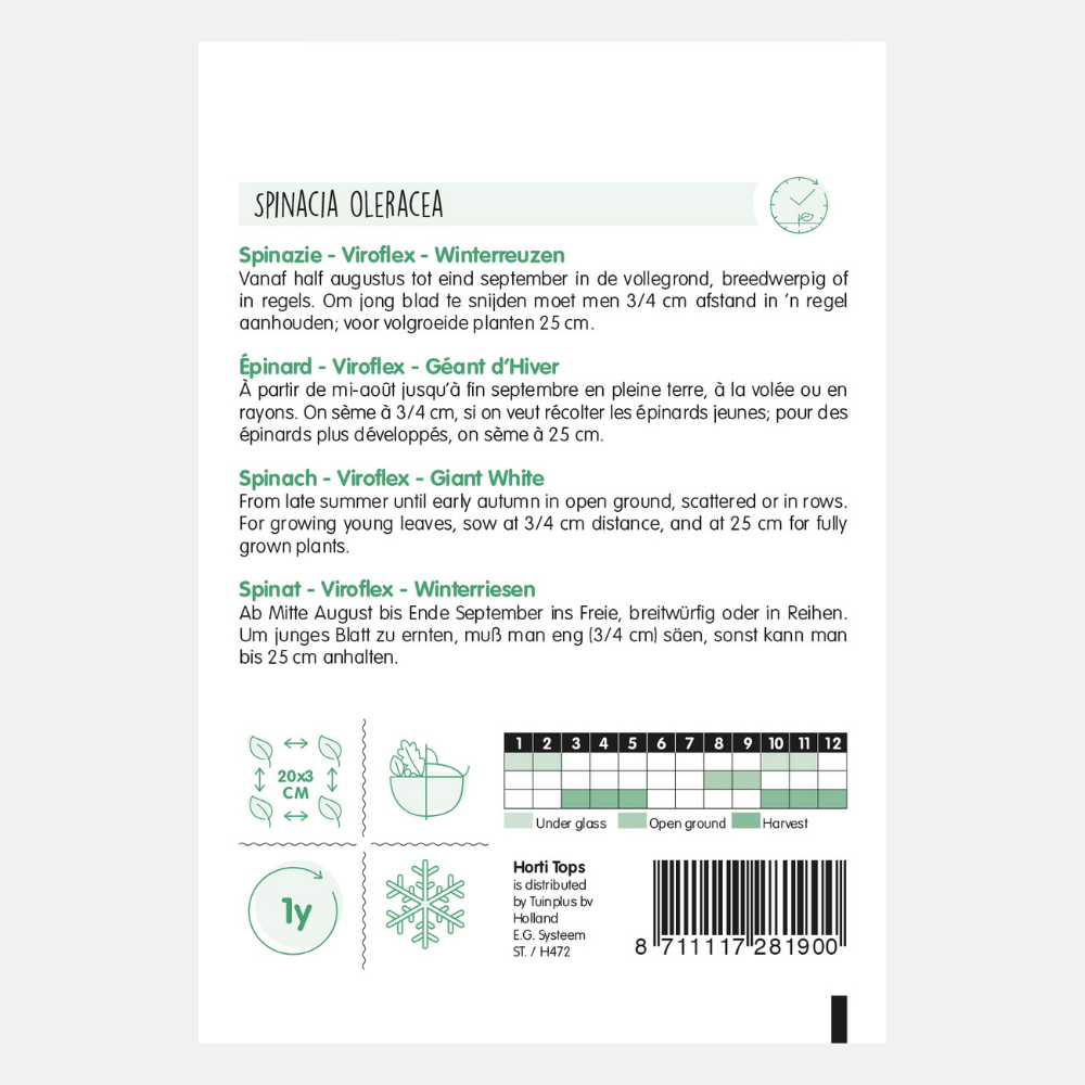 Spinazie 'Viroflex'/'Winterreuzen'