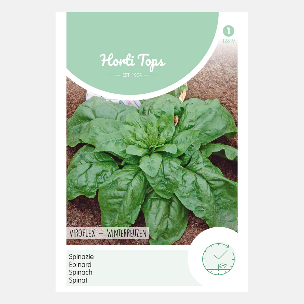 Spinazie 'Viroflex'/'Winterreuzen'
