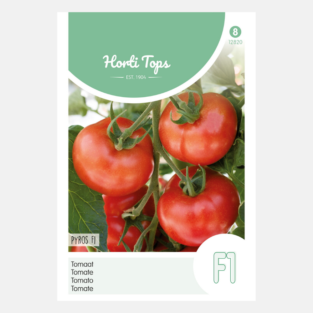 Tomato 'Pyros' F1
