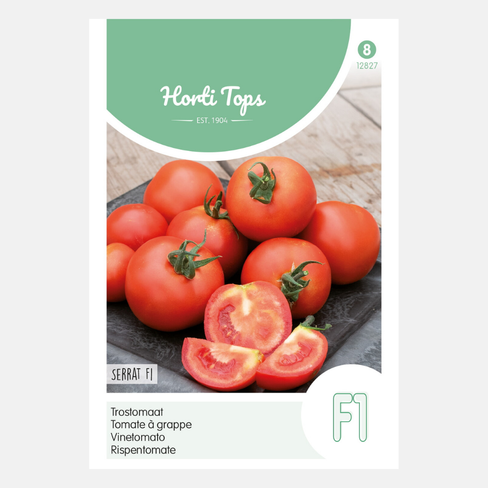 Tomate 'Serrat' F1