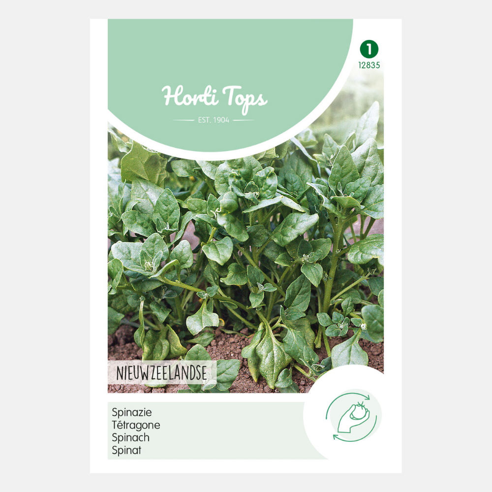 New Zealand Spinach