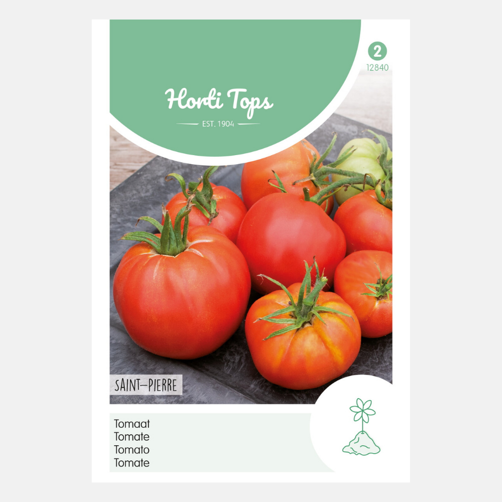 Tomato 'Saint Pierre'