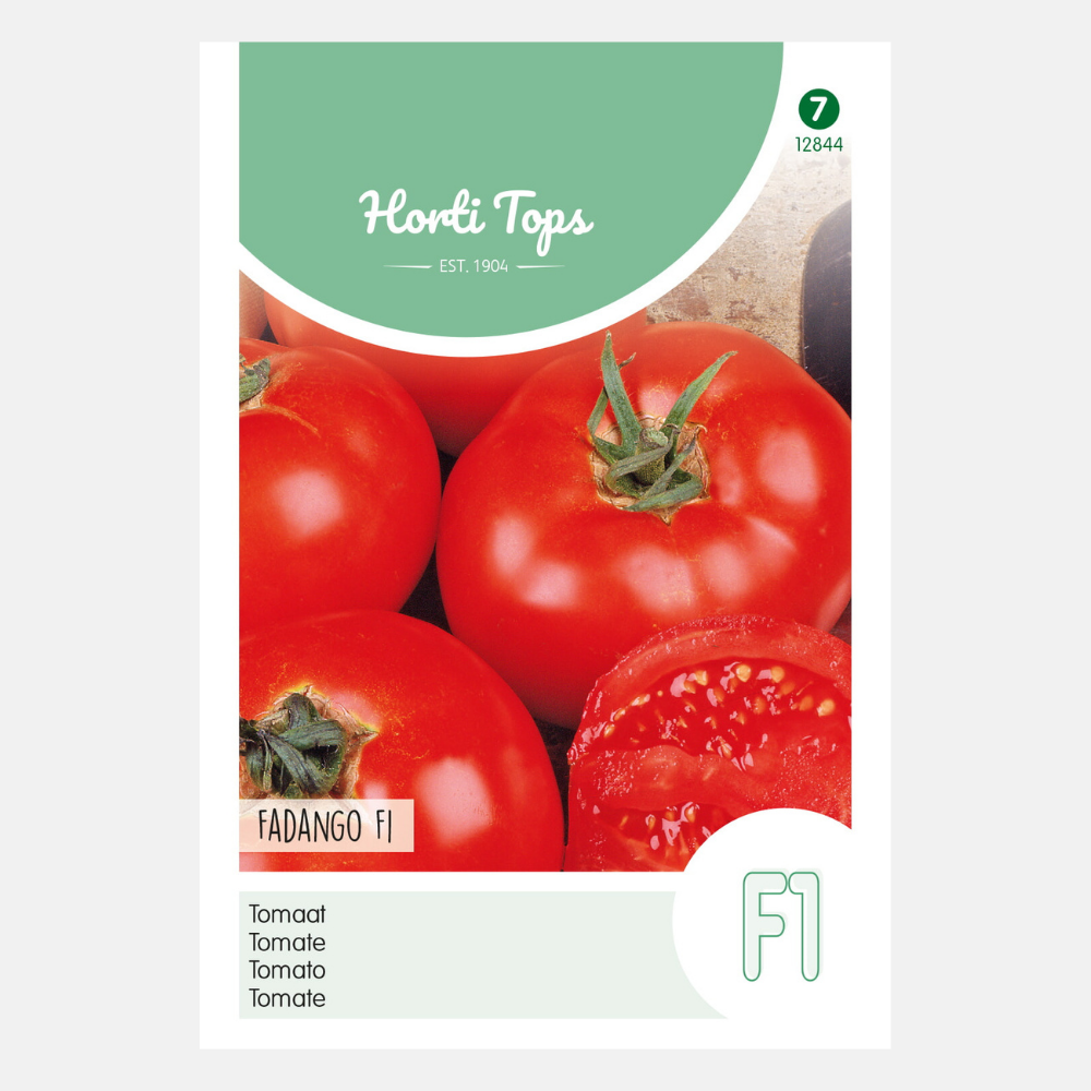 Tomato 'Celebration' F1