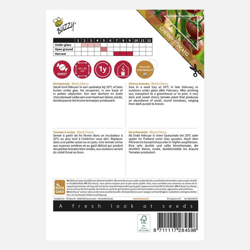 Tomate cerise 'Black Cherry'