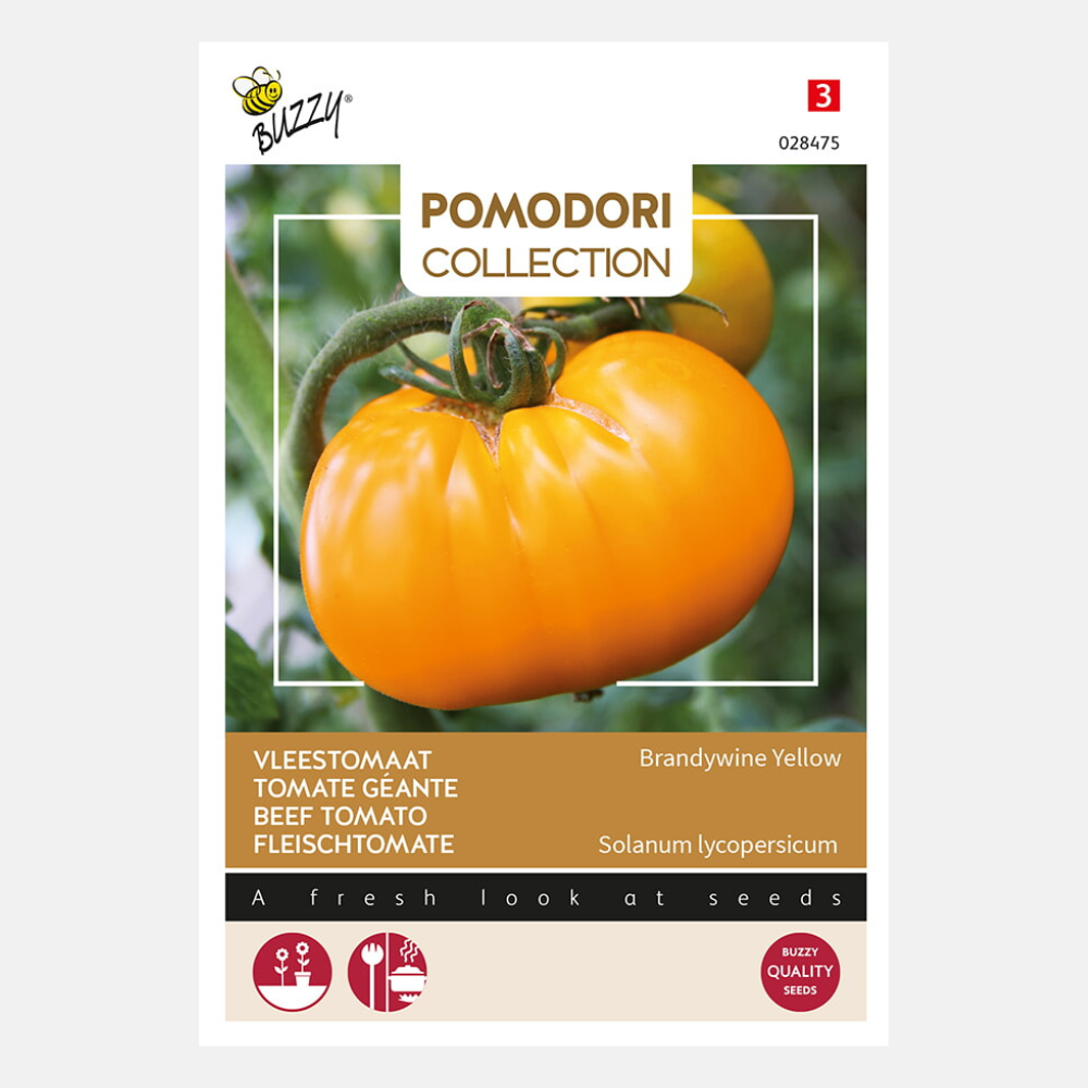 Tomate 'Grappa Gialla'