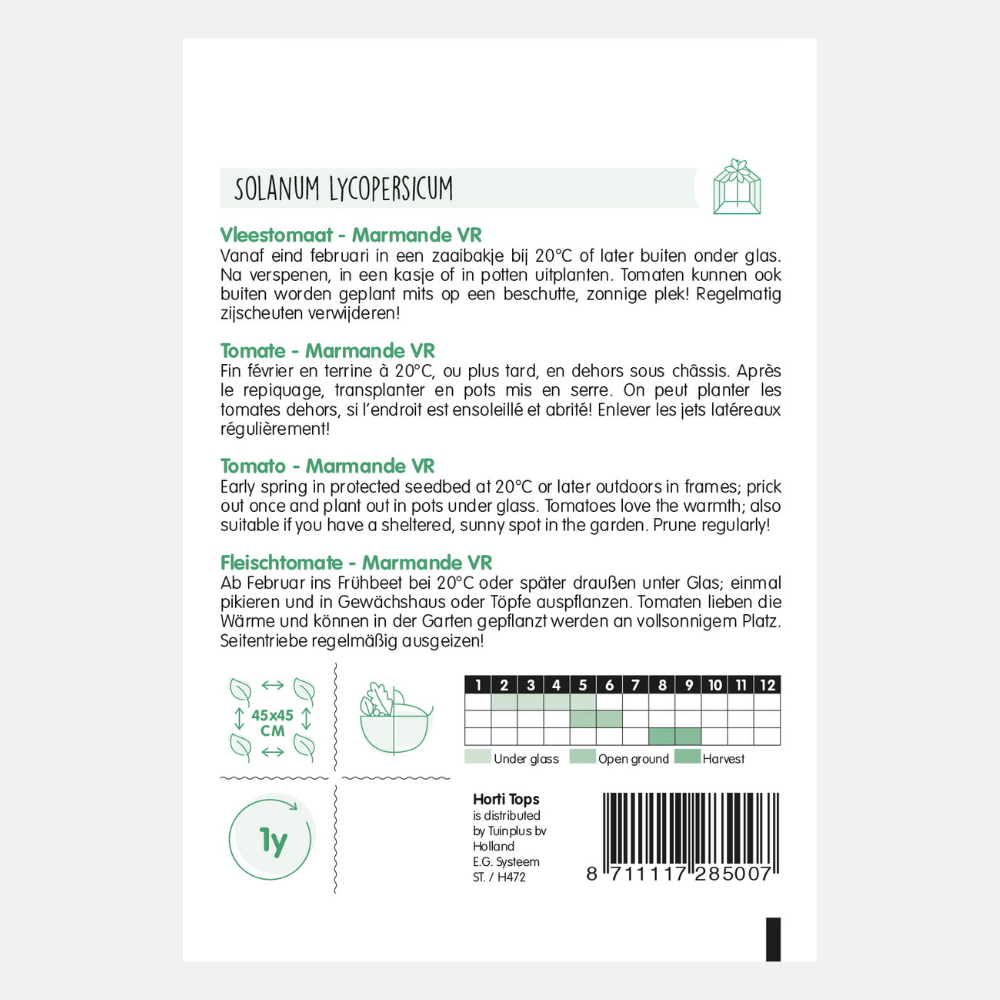 Tomato 'Marmande VR'