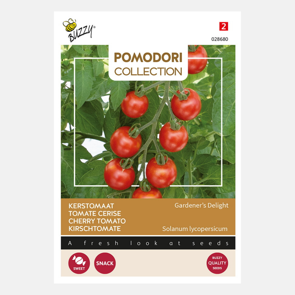 Cherry tomato 'Gardeners Delight'