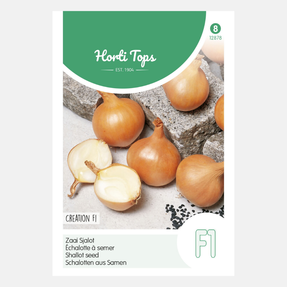 Shallot 'Creation' F1