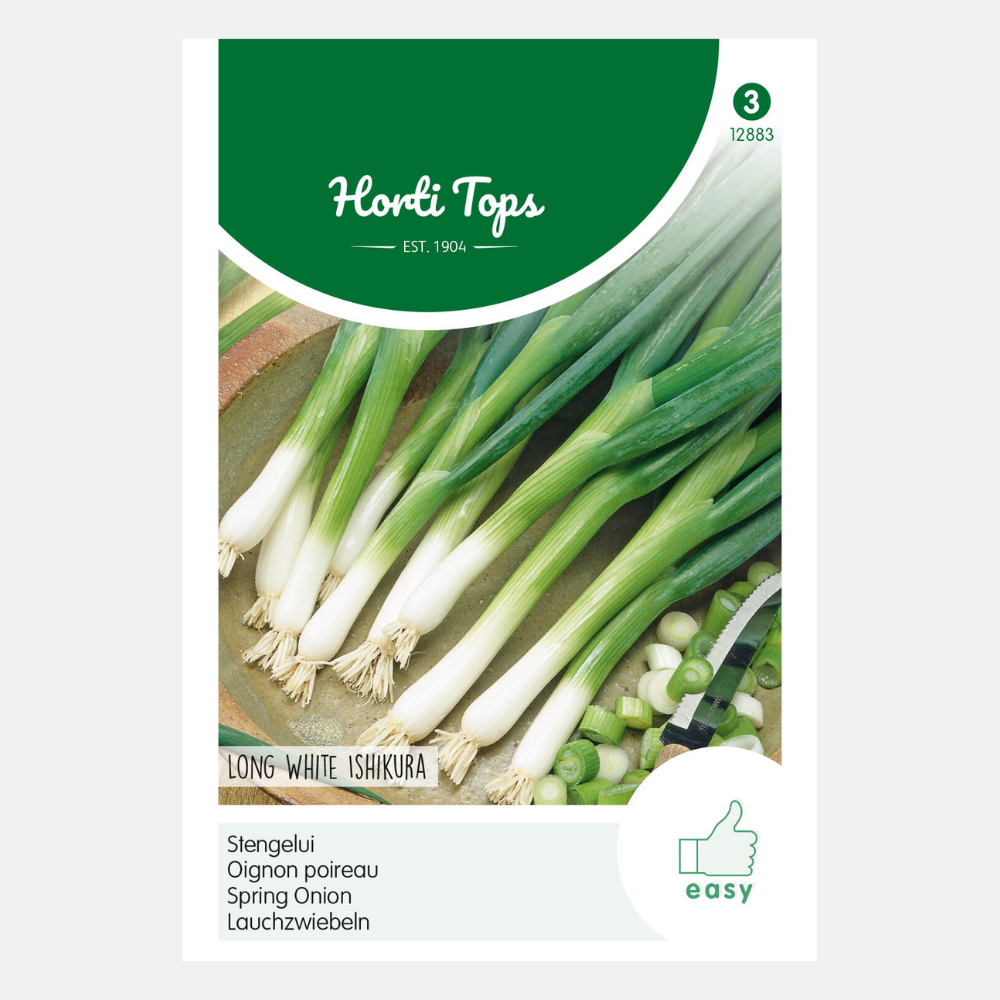 Stem onion 'Long White Ishikura'