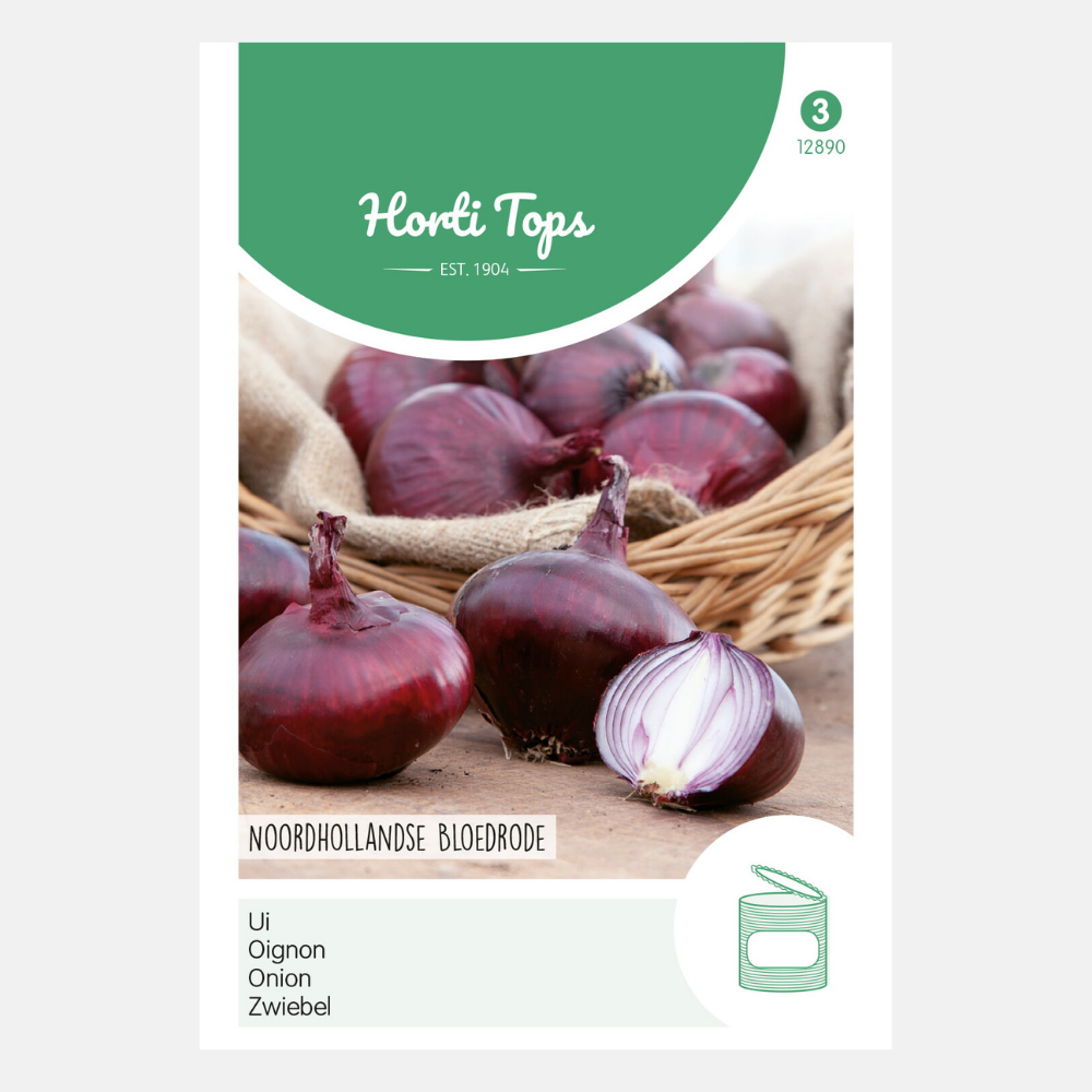 Onions/Onions 'North Holland Blood Red'