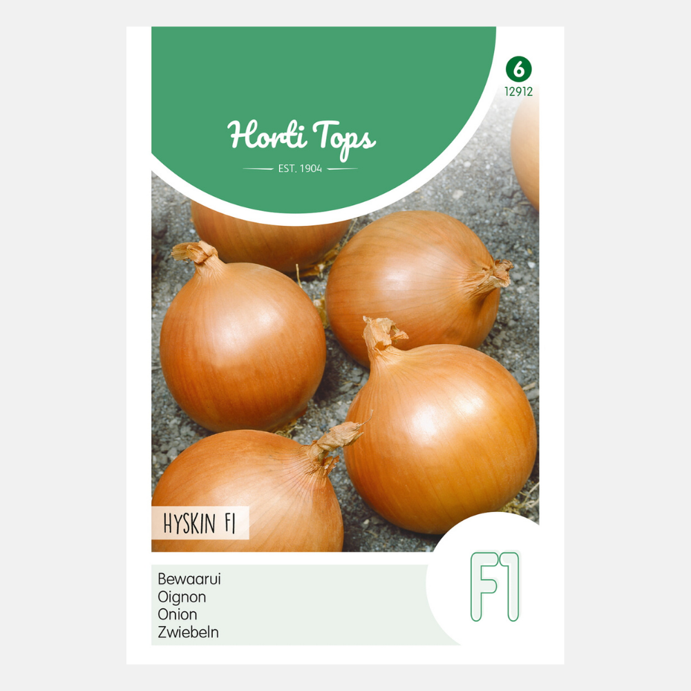 Onions/Onion 'Hyskin' F1