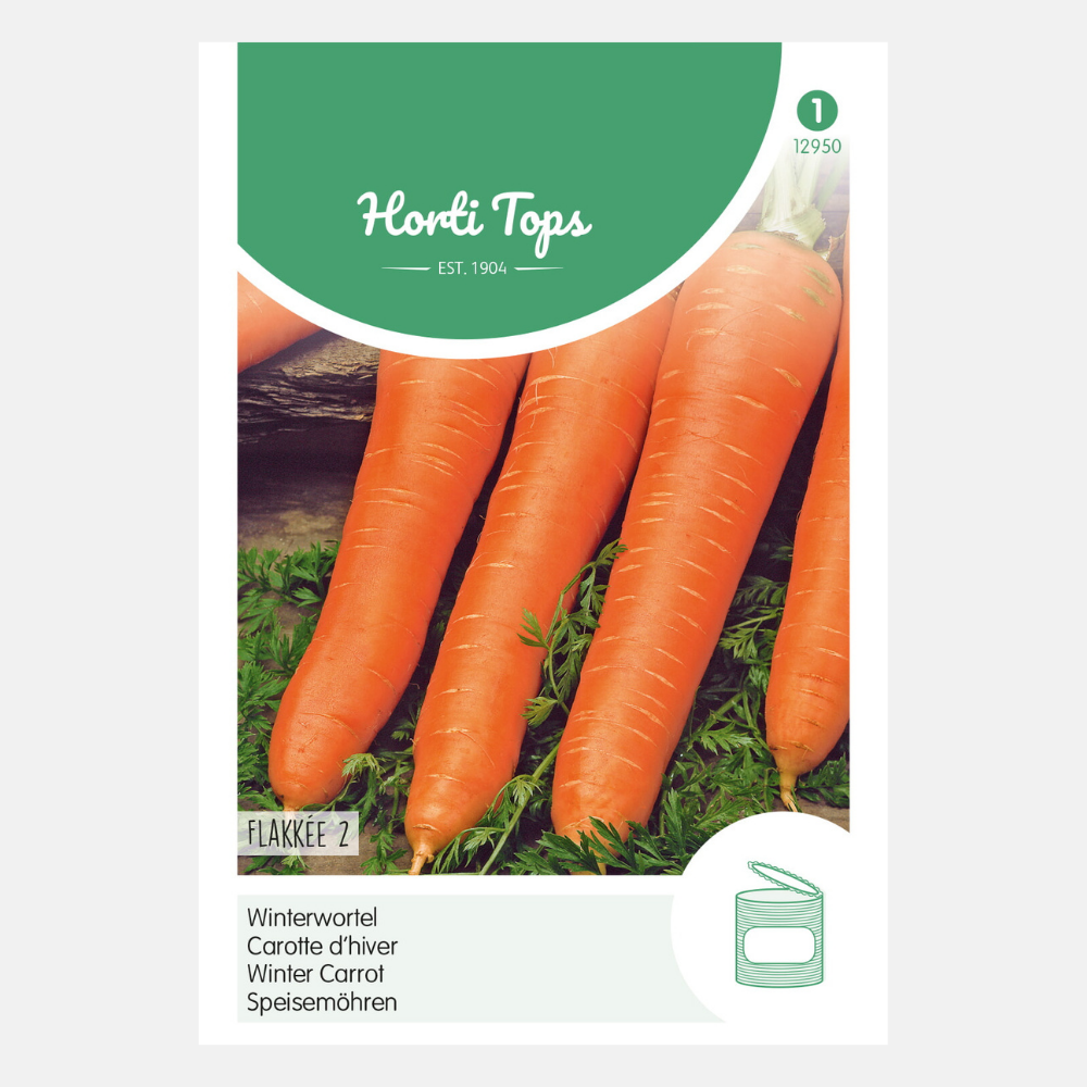 Carrot 'Flakkeese 2' - blunt point type