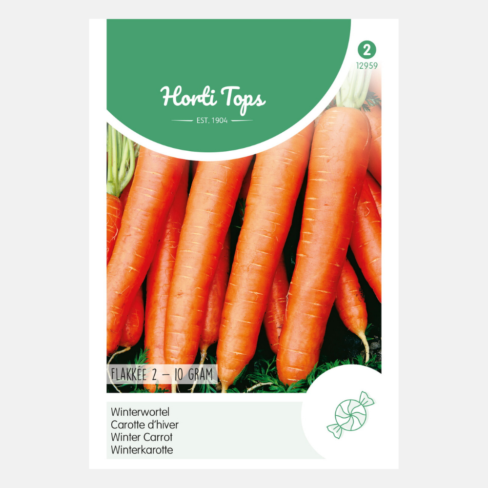Carottes d'hiver 'Flakkée 2'