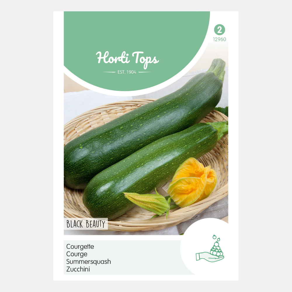 Courgette 'Black Beauty'