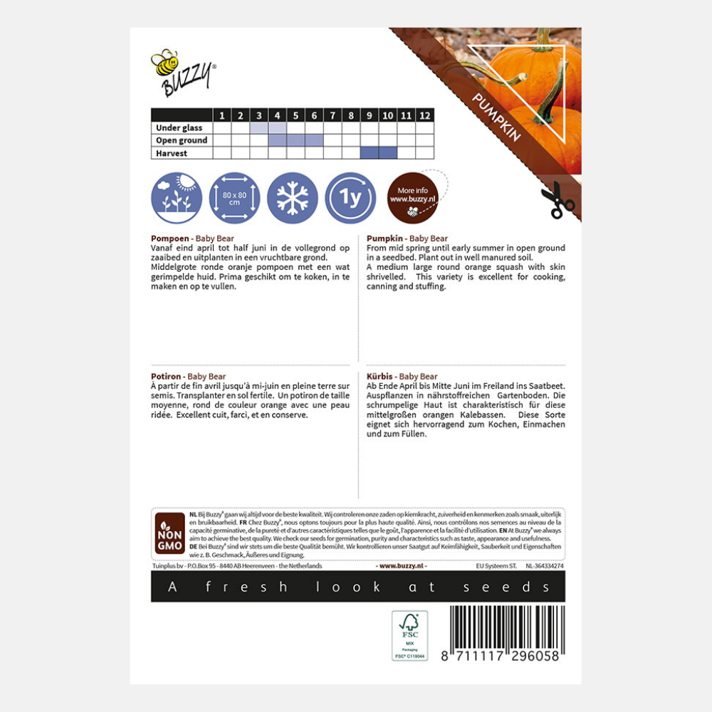 Pompoen 'Baby Bear'