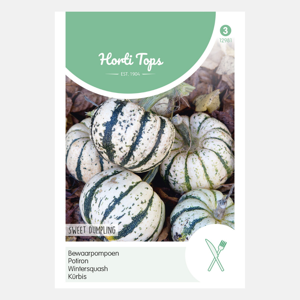 Pumpkin 'Winter Sweet Dumpling'