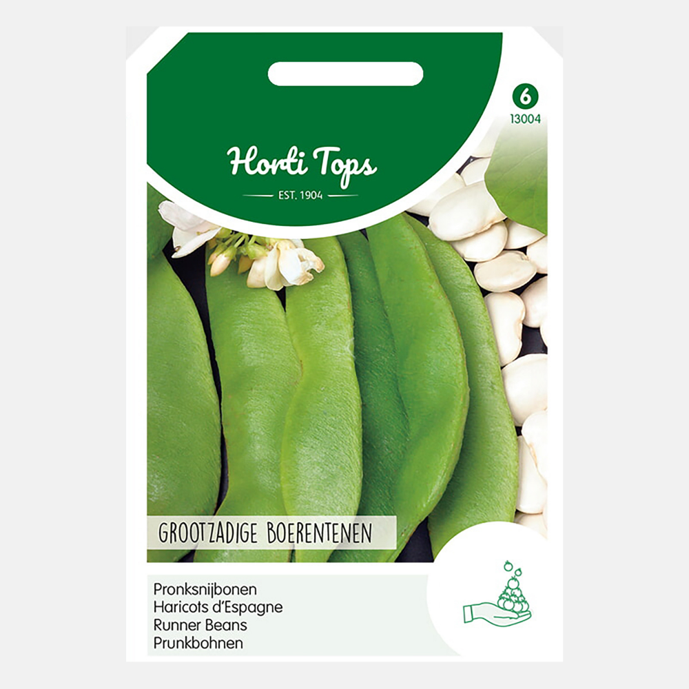 Runner beans 'Large-seeded Farmer's toes' - pole beans