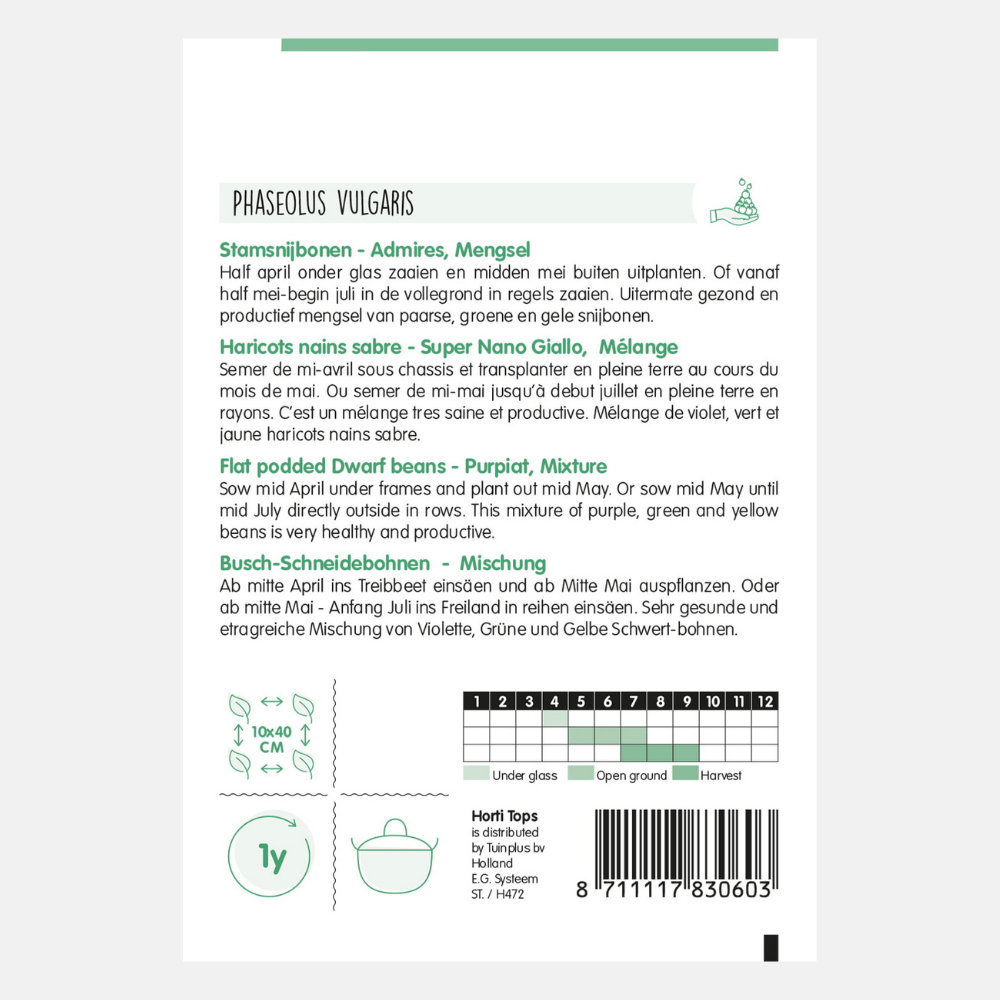 Bush runner beans 'Admires'