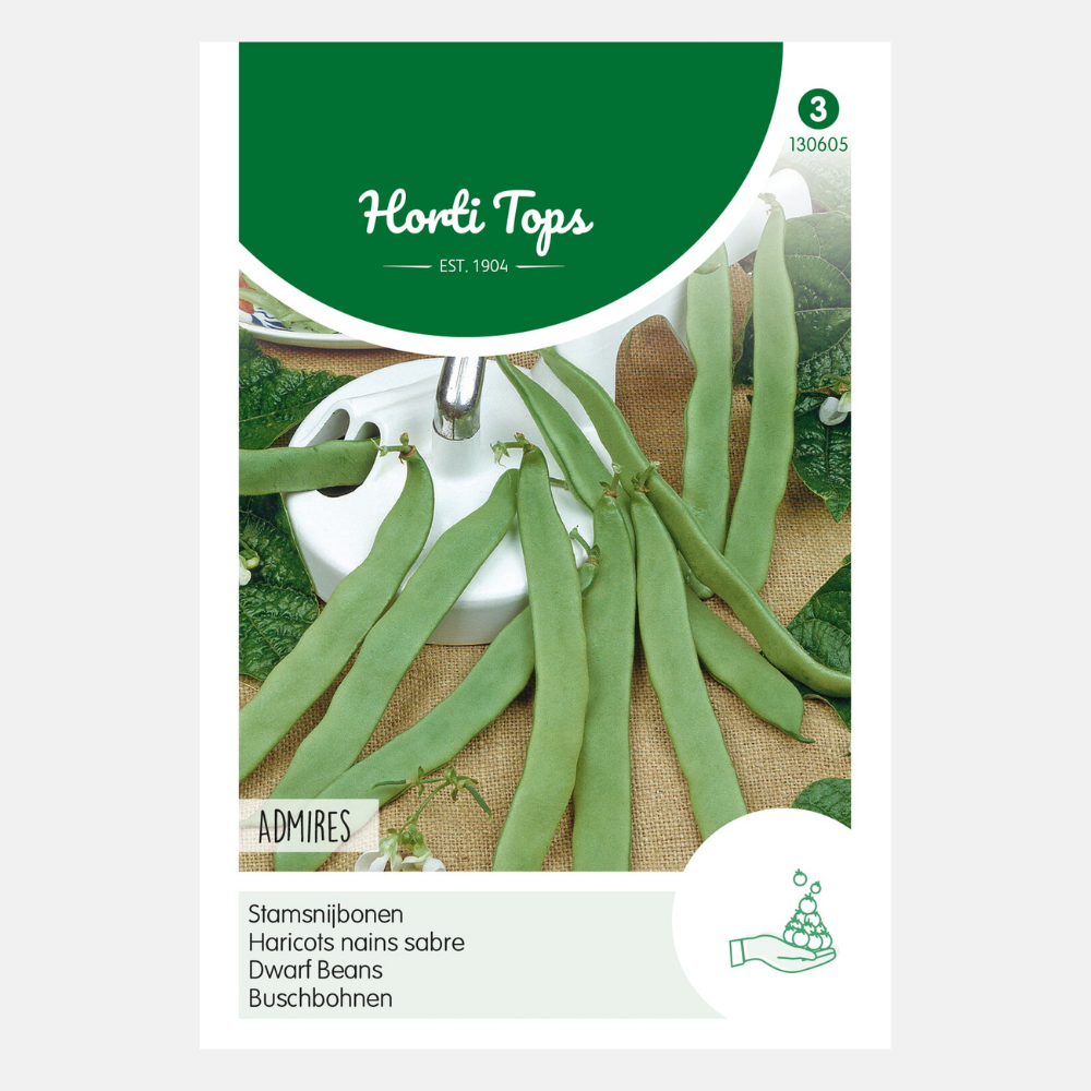 Bush runner beans 'Admires'