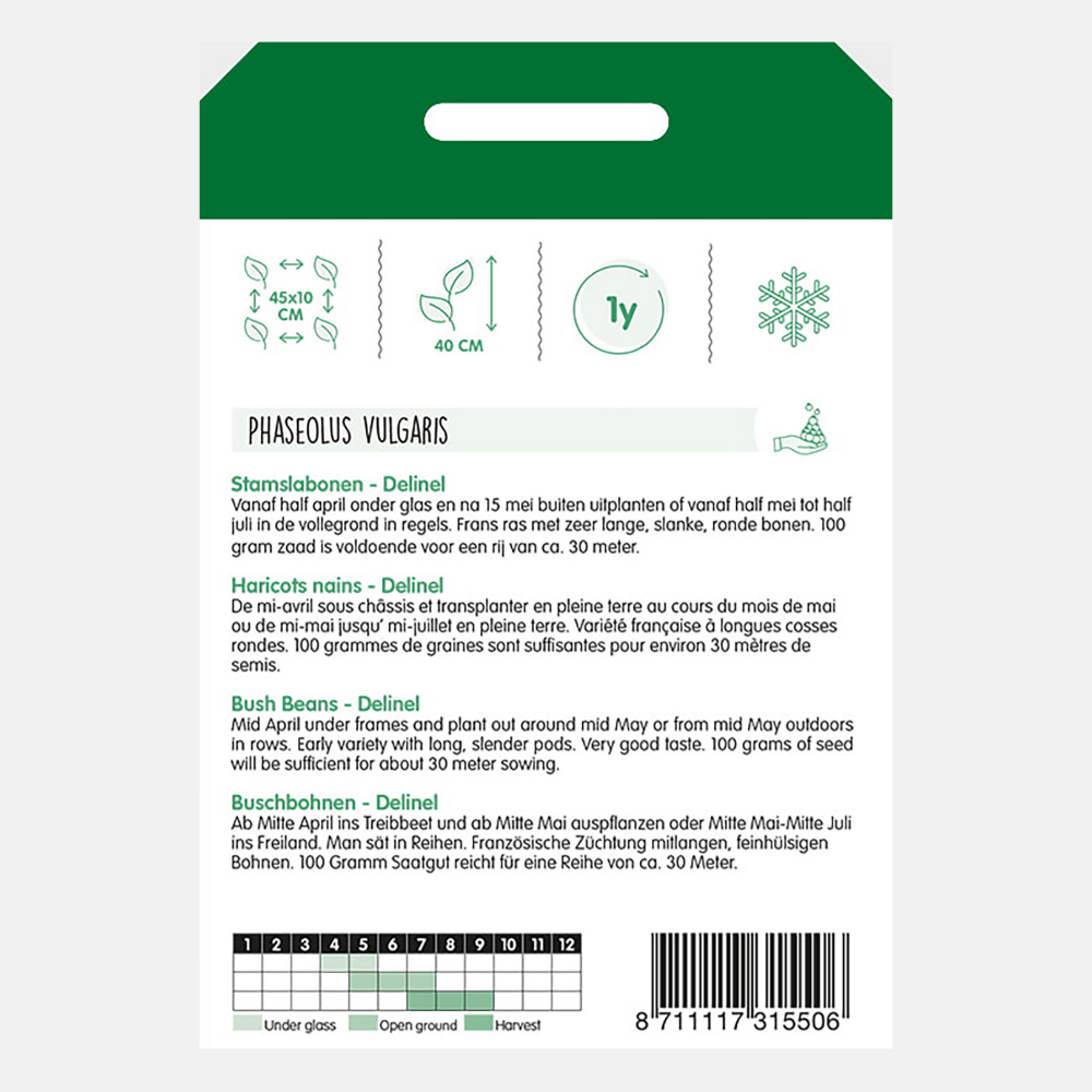 Bush Princess Beans 'Delinel' - fine and long