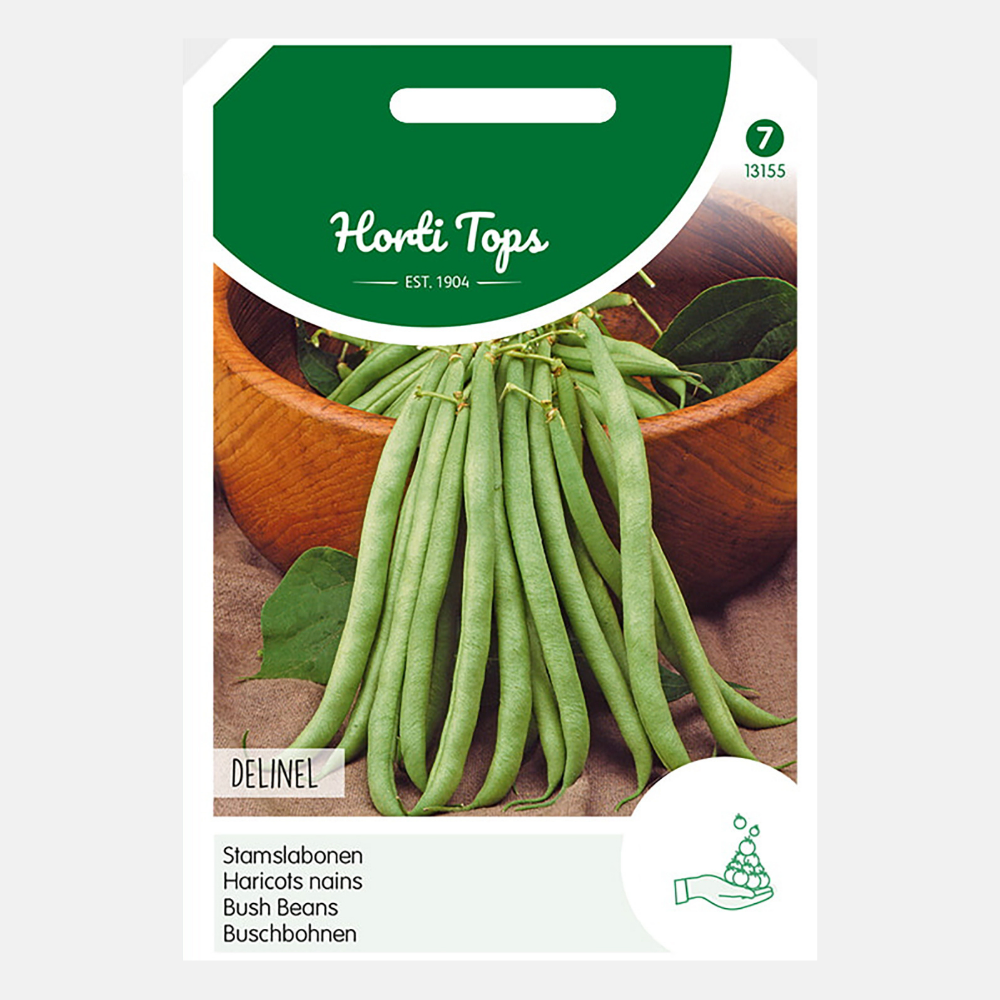 Bush Princess Beans 'Delinel' - fine and long