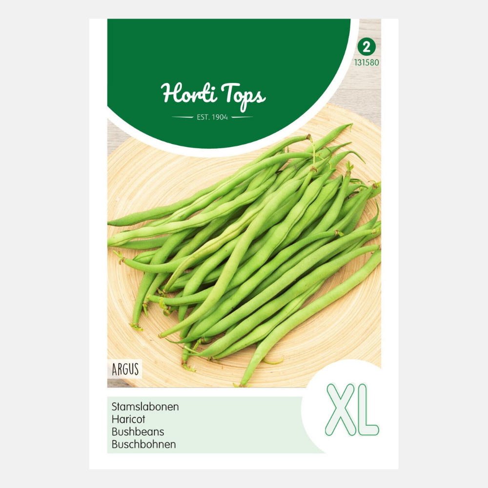 Struikprinsessenbonen 'Argus' - extra lang