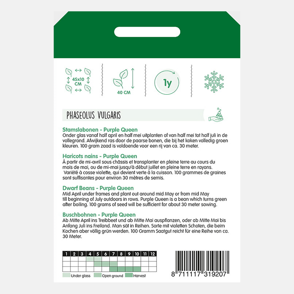 Bush Princess Beans 'Purple Queen' - purple beans