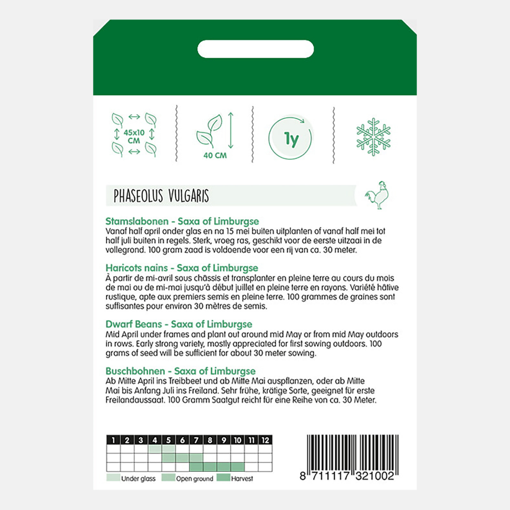 Bush princess beans 'Saxa of Limburgse' - type Wagenaars