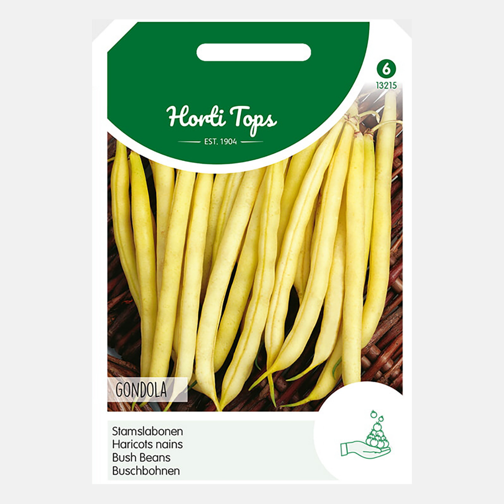 Struikprinsessenbonen 'Gondola' - gele boterbonen