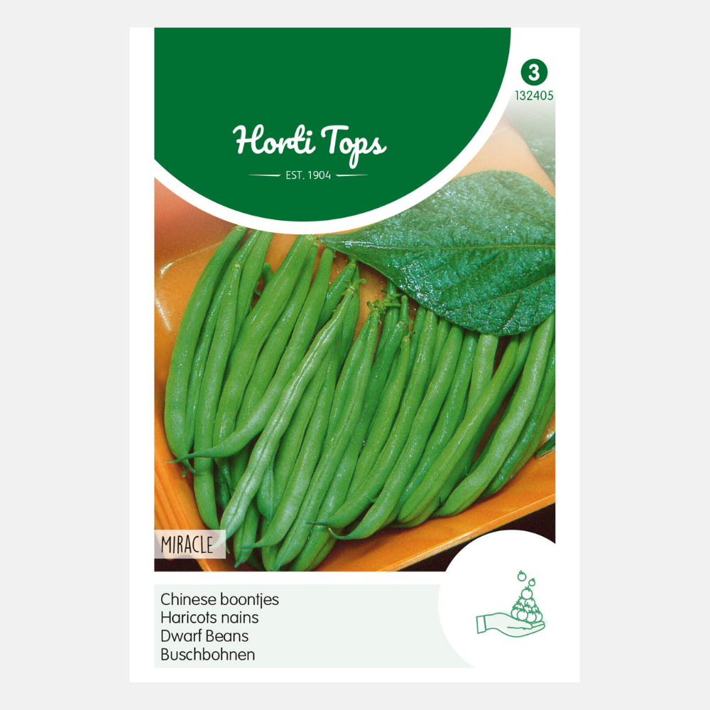 Bush Princess Beans 'Miracle' - Chinese Beans