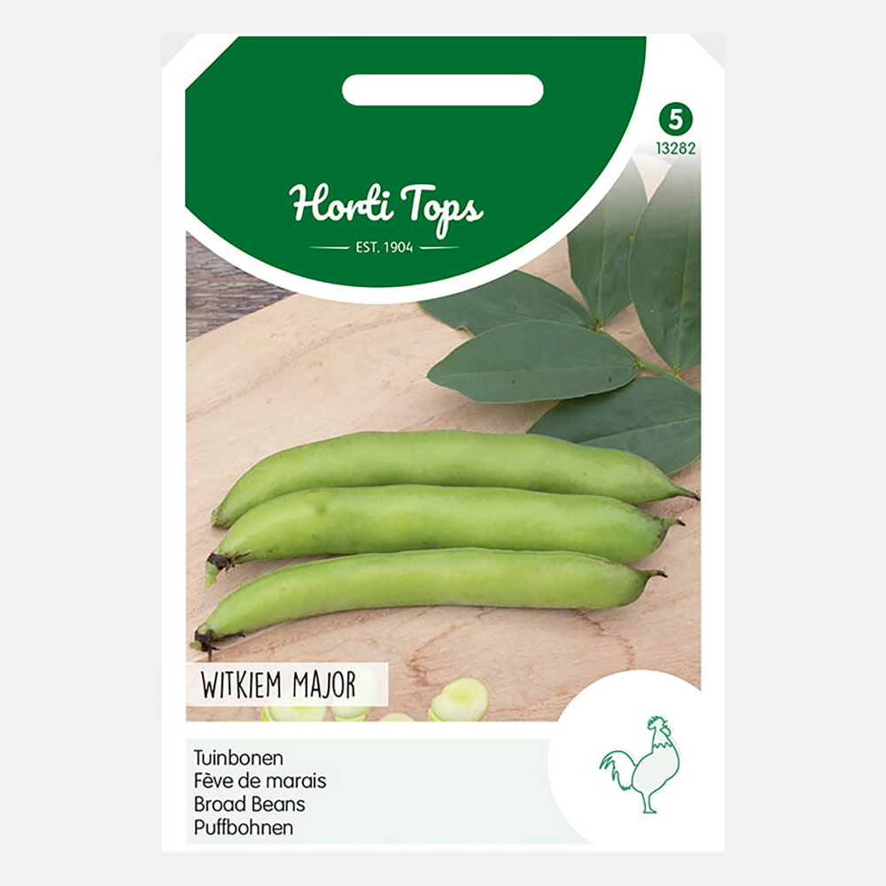 Broad beans 'Witkiem Major'