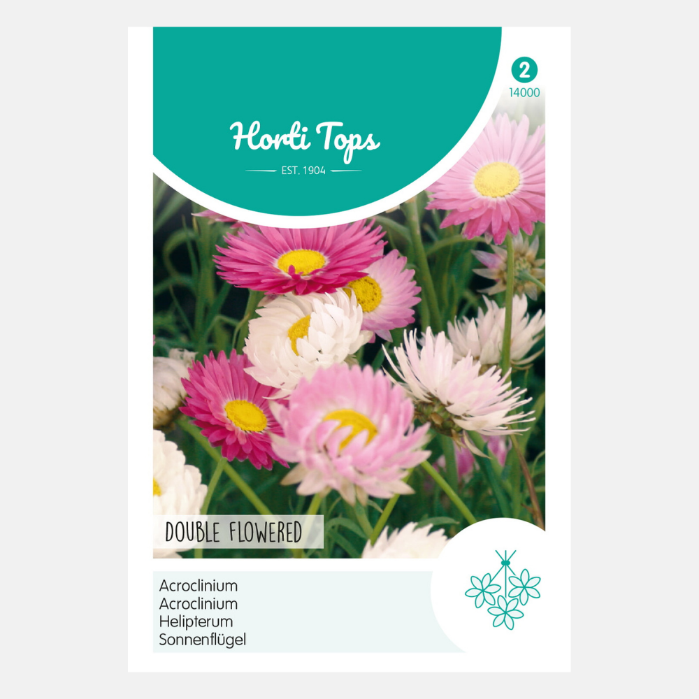 Straw Flower - double flowered, mixed