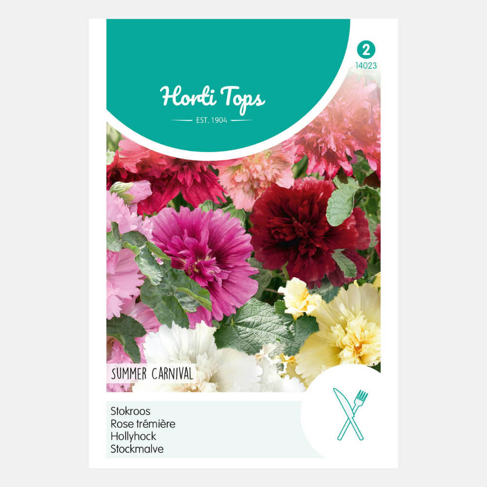 Hollyhock 'Summer Carnival'