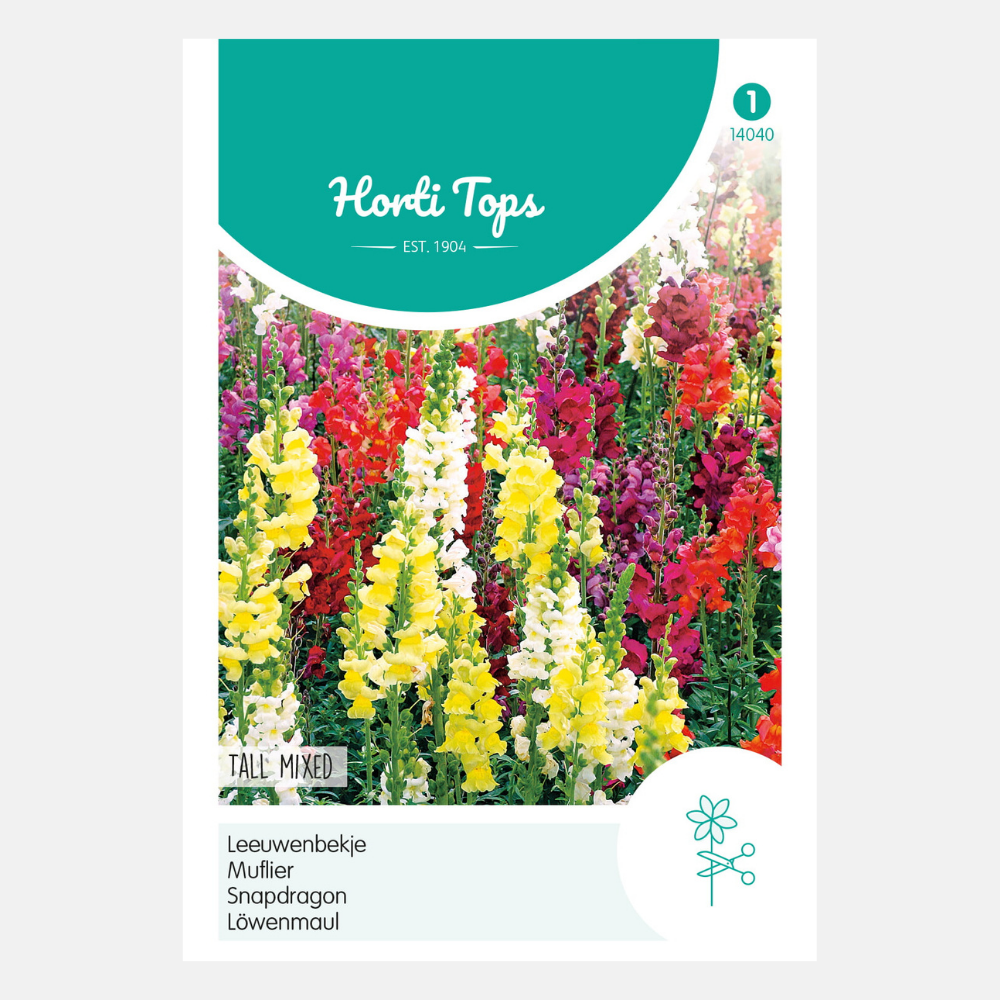 Leeuwenbekje - hoog, gemengd