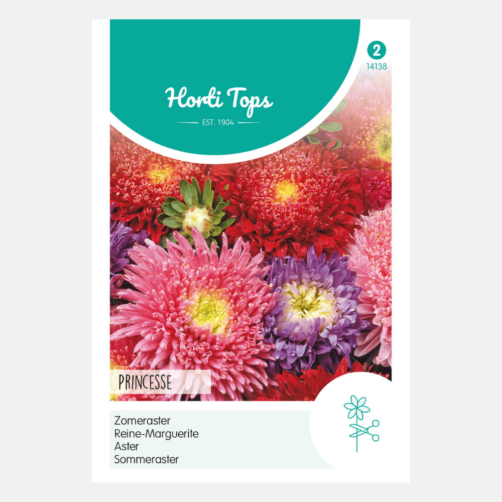 Aster summer 'Princesse' - mixed