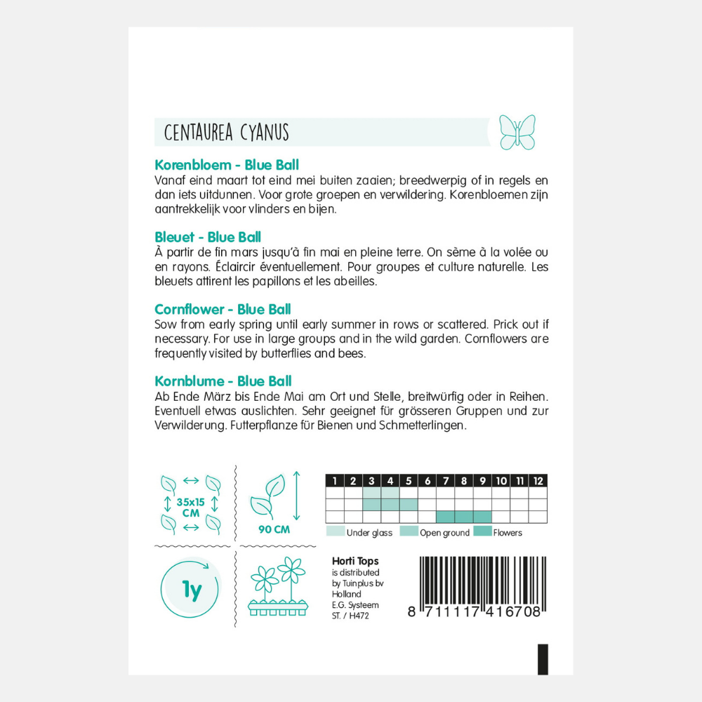 Korenbloem 'Blue Ball'