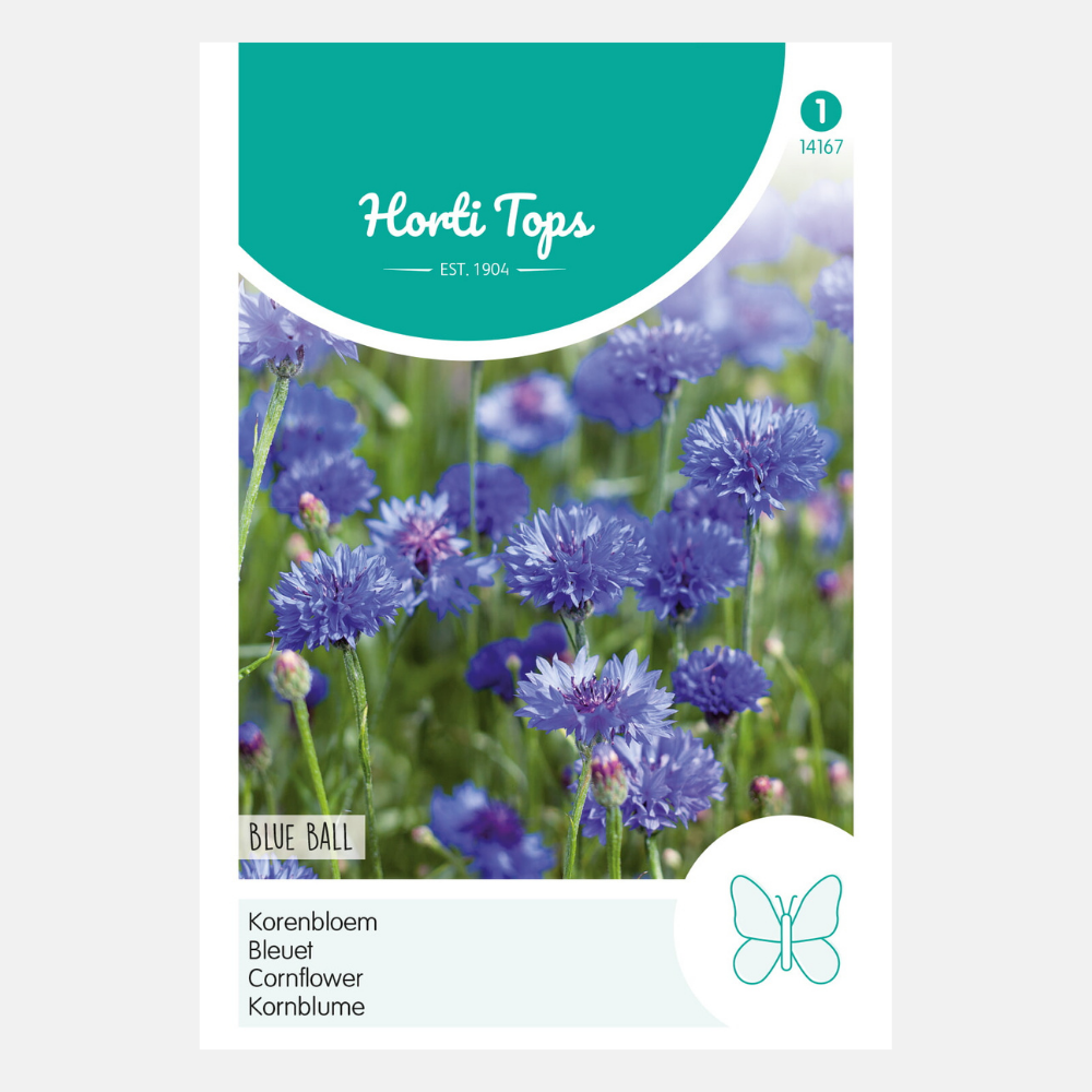 Korenbloem 'Blue Ball'