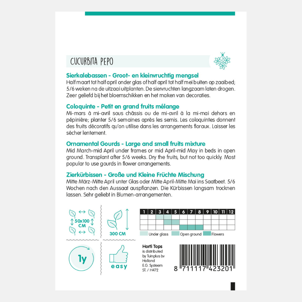 Ornamental gourd, small and large fruited, mixed