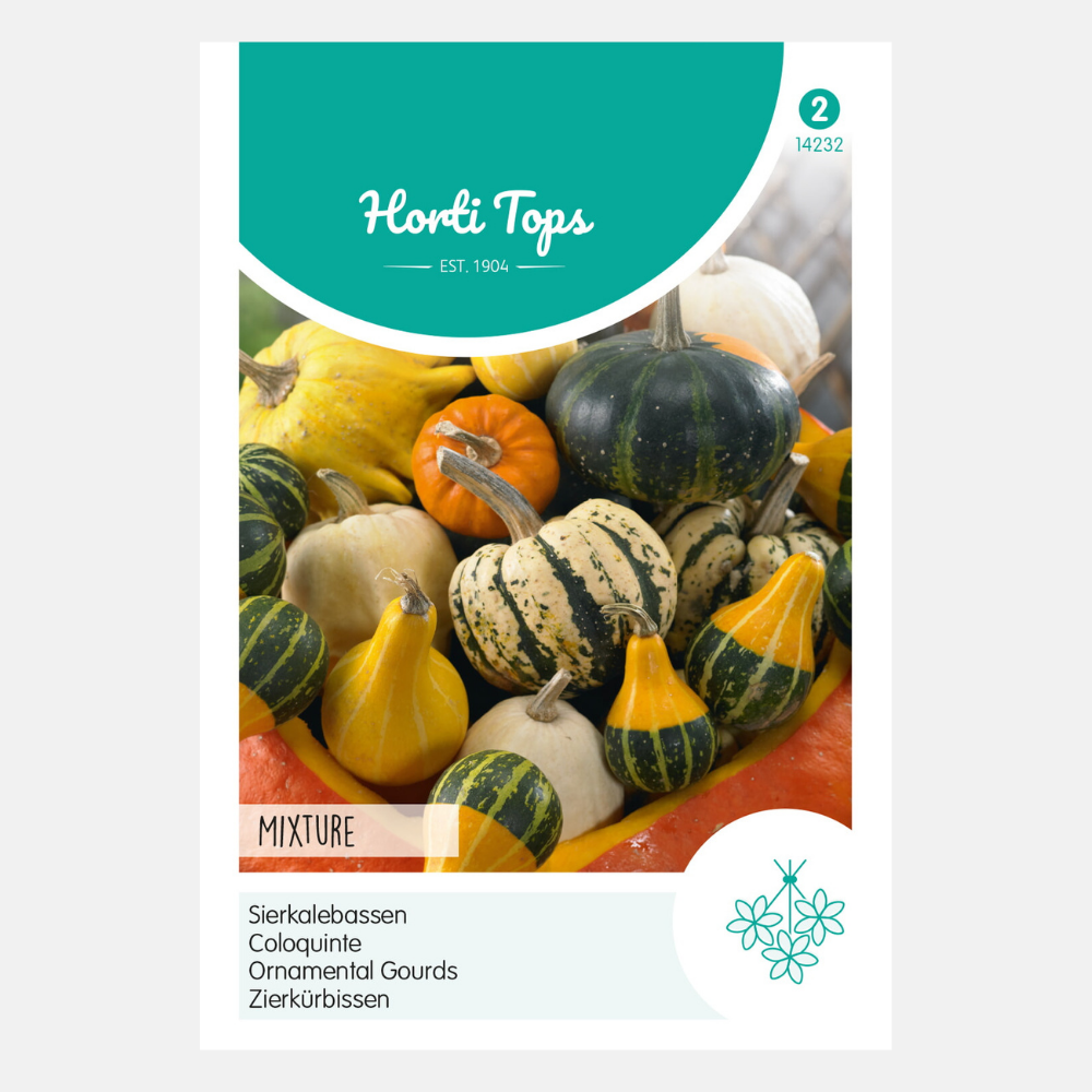 Ornamental gourd, small and large fruited, mixed